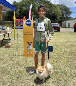 Dog show judging experience in Jamaica showing local conformation ring conditions and handler presentation