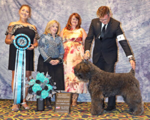 dog show ring background