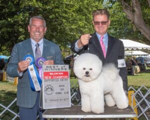 handler preparing dog backstage