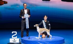 Whippet second place presentation with handler and judge at World Dog Show 