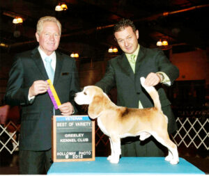 Como Posar un Perro Correctamente: la técnica que marca la diferencia en el ring Errores comunes al posar incorrectamente a un perro de show
