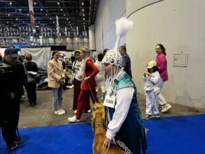 ALT: International exhibitors presenting dogs at the World Dog Show Geneva with diverse breeds and handlers