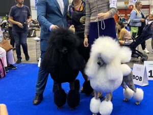 World Dog Show Geneva overview showing multiple rings inside the venue with international exhibitors and judges
