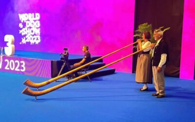 Ginebra World Dog Show 2023,  Mucho por Decir