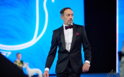 Interview with Thomas Wastiaux, passion for do the right things