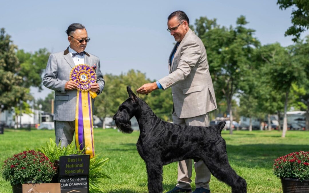 Entrevista Kyoji Murayama