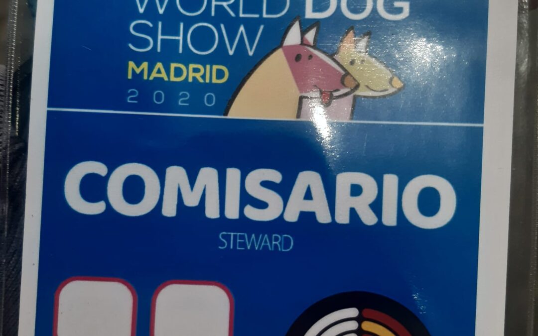 El Secretario de Juez Mexicano que Traspasó Fronteras.