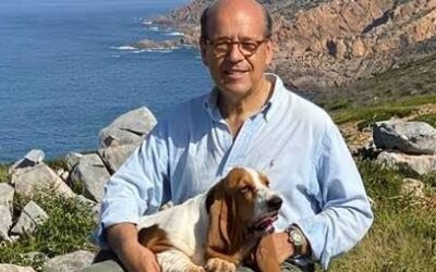 Blog English Judging Beagles at the World Dog Show Madrid 2022: A Judge’s Perspective