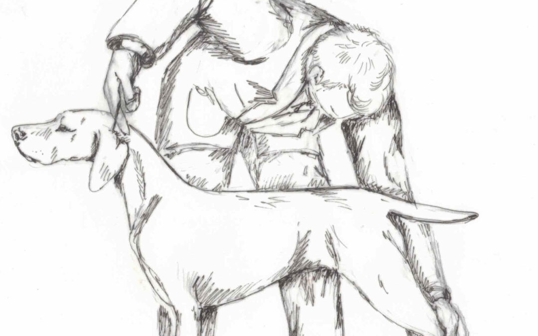 Como Posar un Perro Correctamente: la técnica que marca la diferencia en el ring