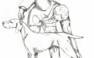 Como Posar un Perro Correctamente: la técnica que marca la diferencia en el ring