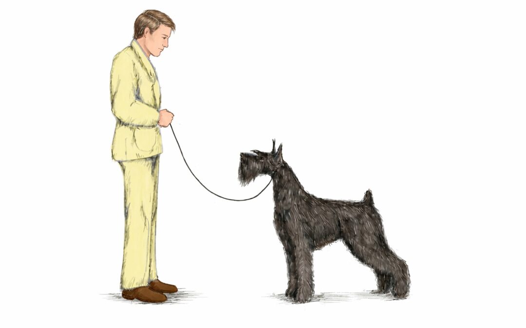 How to Use Bait in Dog Shows: Technique, Common Mistakes, and Attention Levels