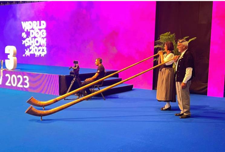 World Dog Show Geneva Review: Inside the Largest Global Dog Event | Dogs Connection