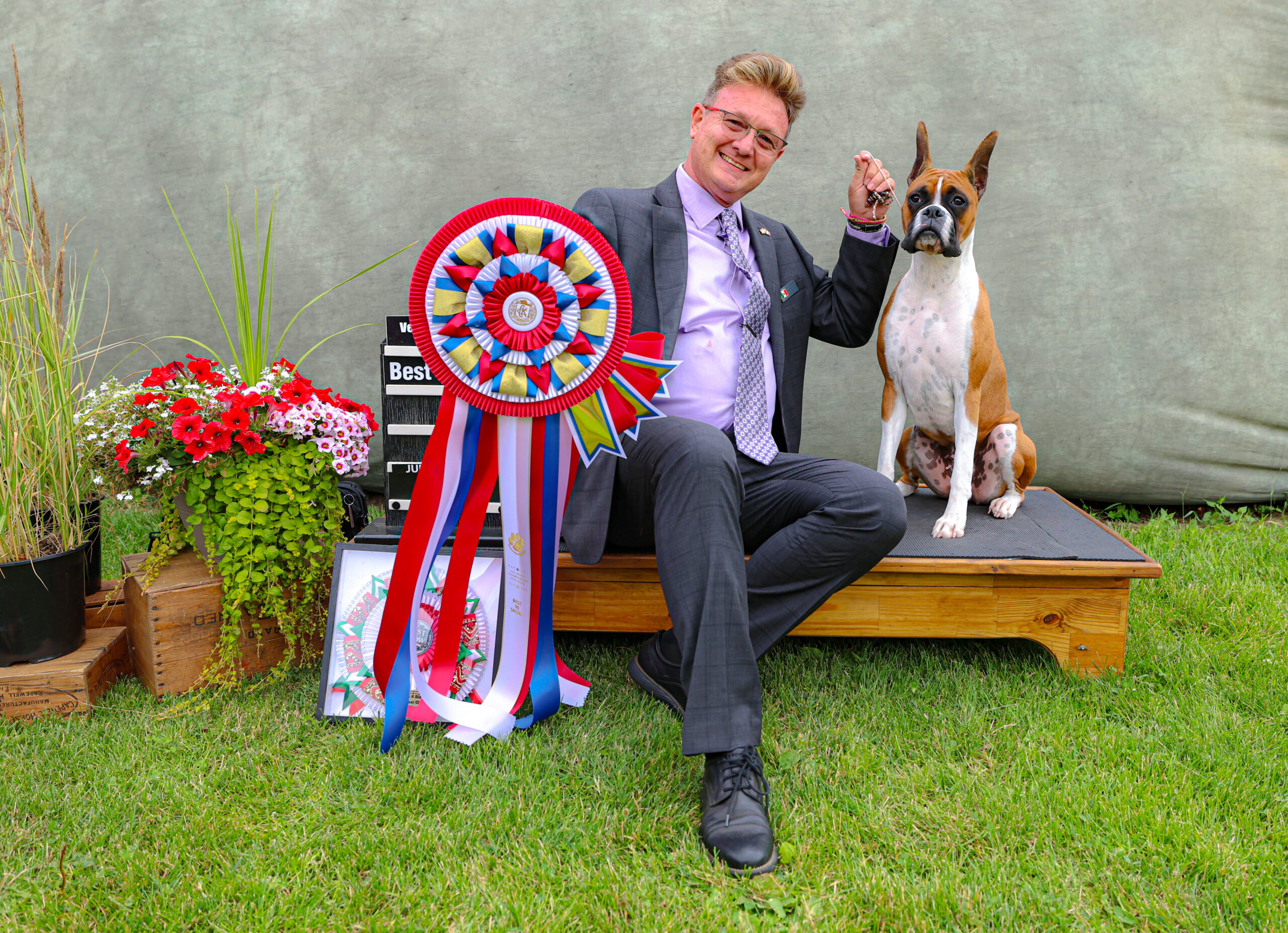 Juez Guillermo Cavazos evaluando un Boxer durante Best in Show en una exposición canina.